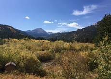 Near Allenspark, Colorado. September, 2015.