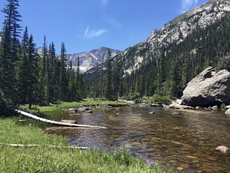 Near Mills Lake, Rocky Mountain National Park, Colorado. July, 2016