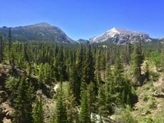 The Loch Trail in Rocky Mountain National Park, Colorado. June, 2016