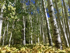 Booth Lake near Vail, Colorado. September, 2016