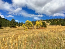 Golden Gate Canyon State Park, Colorado. September, 2016