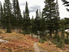 Forest Lakes, Colorado. October, 2016