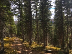 Forest Lakes, Colorado. October, 2016