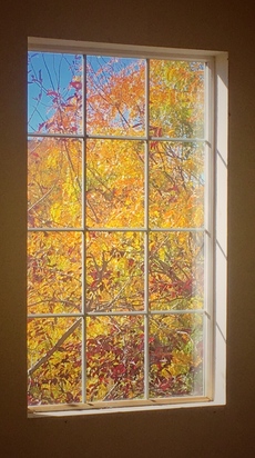 View from my window in Thornton, Colorado. October, 2016