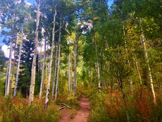 Booth Lake near Vail, Colorado. September, 2016