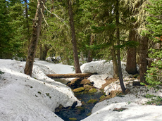 Finch Lake, Allenspark, Colorado. May, 2017.