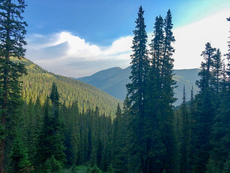 Butler Gulch, James Peak Wilderness, Colorado. August, 2017.