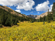 Lots of vast meadows on this trail. Herman Gulch, Colorado. September, 2018.