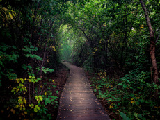 Clear Creek Trail near Wheat Ridge, Colorado. August, 2018.