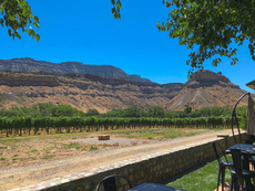 Palisade, Colorado. September, 2019.