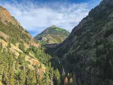 Near Ouray, Colorado. September, 2019.