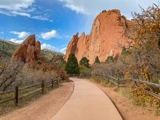 An assortment of photos from 2020