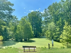 An assortment of photos from 2023