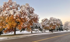 An assortment of photos from 2024