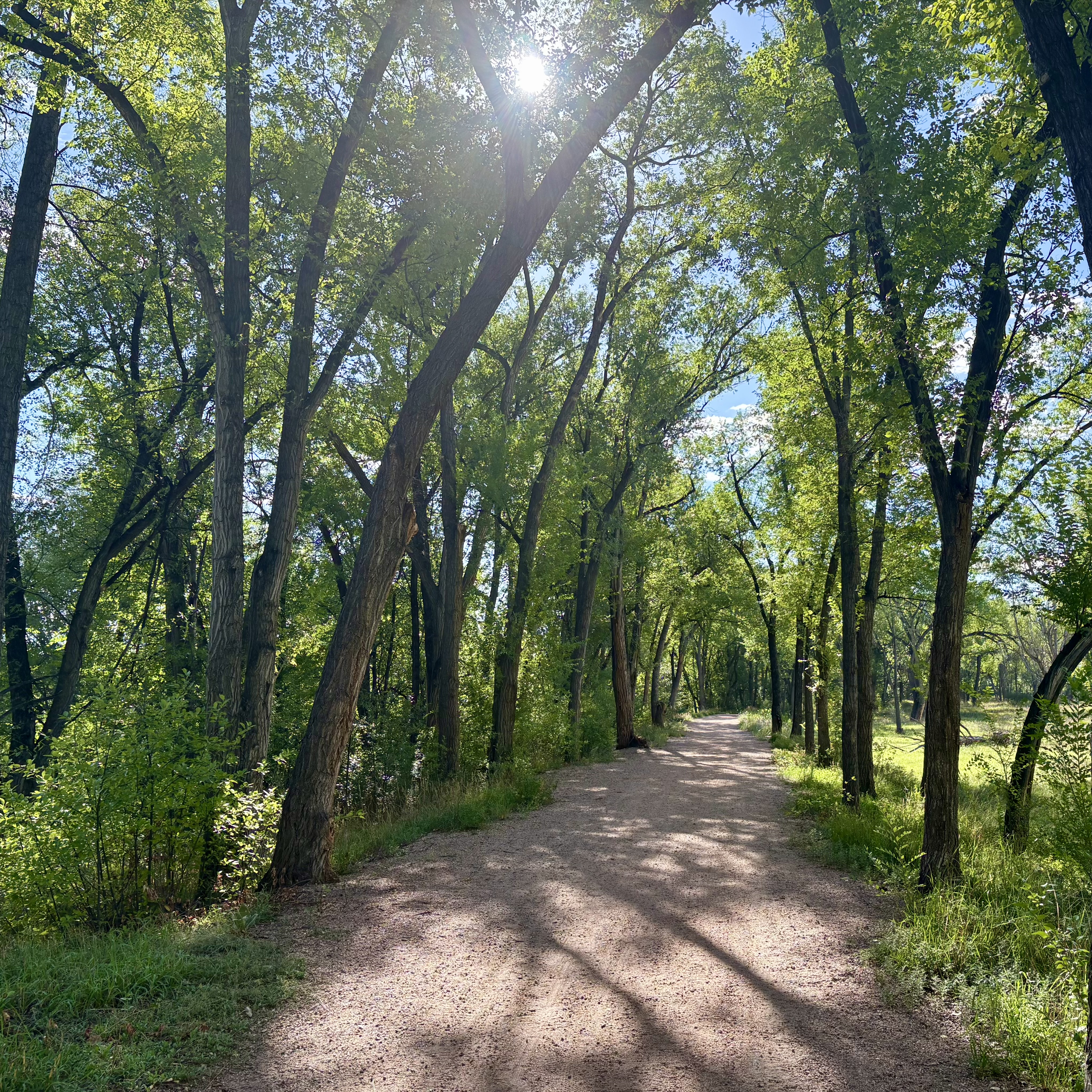 2026 - Along Fountain Creek Regional Trail, Colorado Springs, Colorado. September 5, 2026.