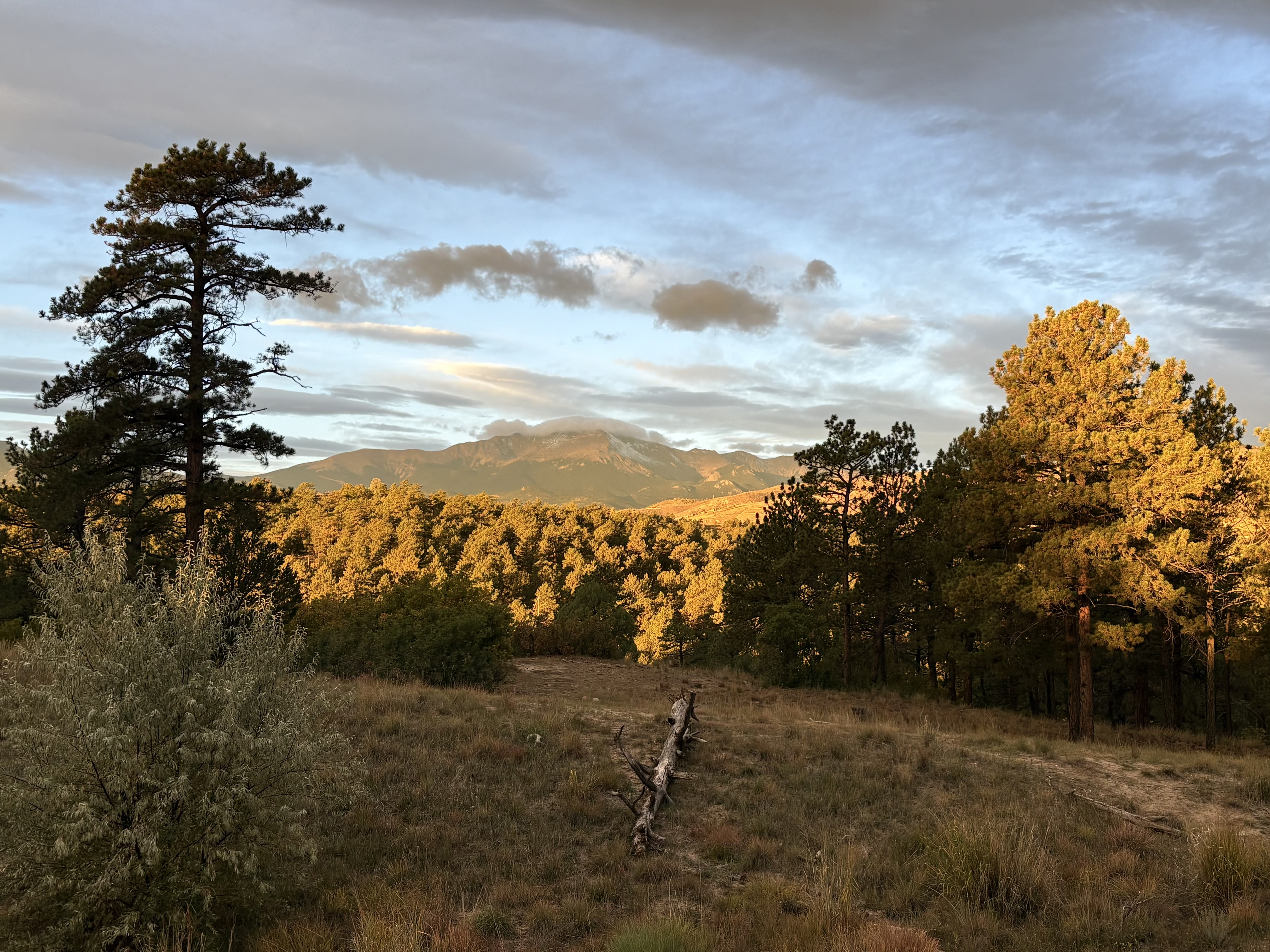 2026 - Pikes Peak from Ute Valley Park, Colorado Springs, Colorado. October 11, 2026.