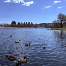 Canyon Lake, Rapid City, South Dakota. May, 2026.