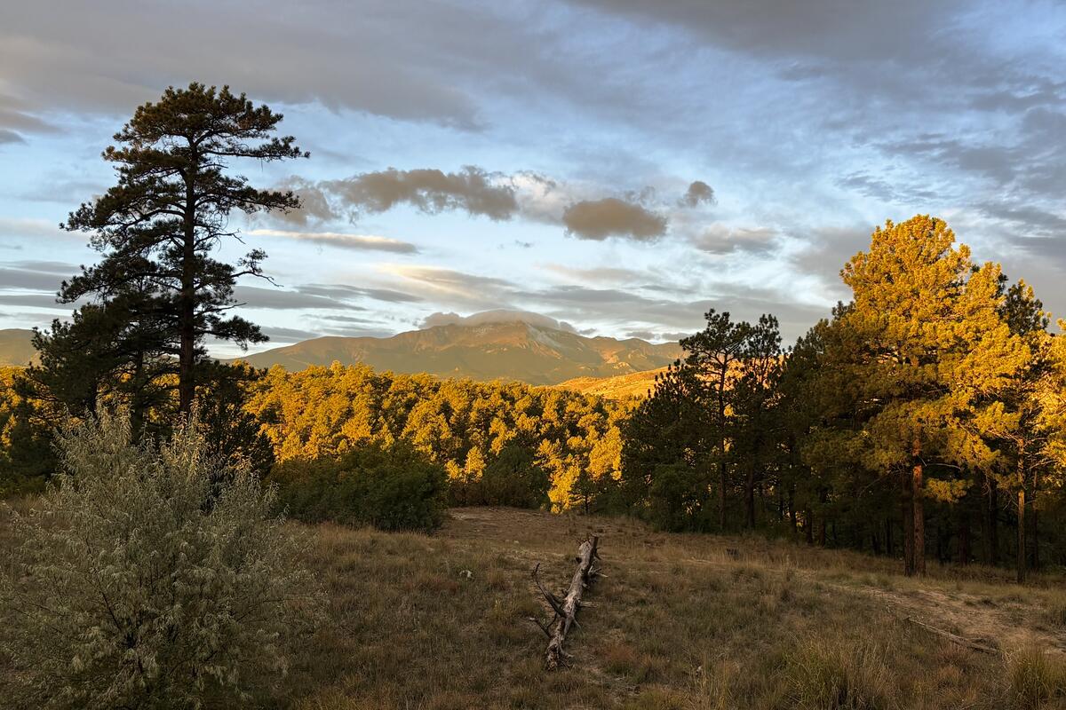 Pikes Peak from Ute Valley Park, Colorado Springs, Colorado. October 11, 2026.